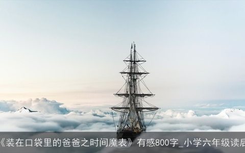 读《装在口袋里的爸爸之时间魔表》有感800字_小学六年级读后感