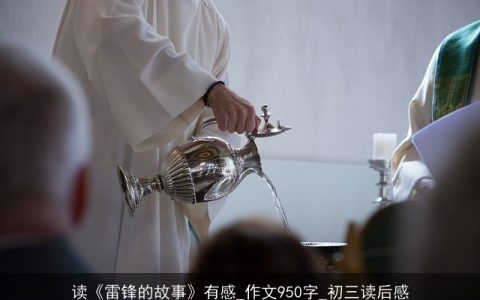 读《雷锋的故事》有感_作文950字_初三读后感