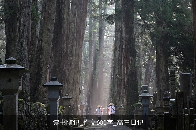 读书随记_作文600字_高三日记