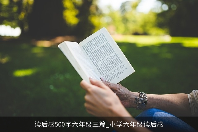 读后感500字六年级三篇_小学六年级读后感