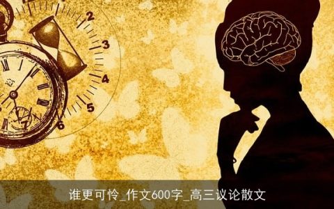 谁更可怜_作文600字_高三议论散文