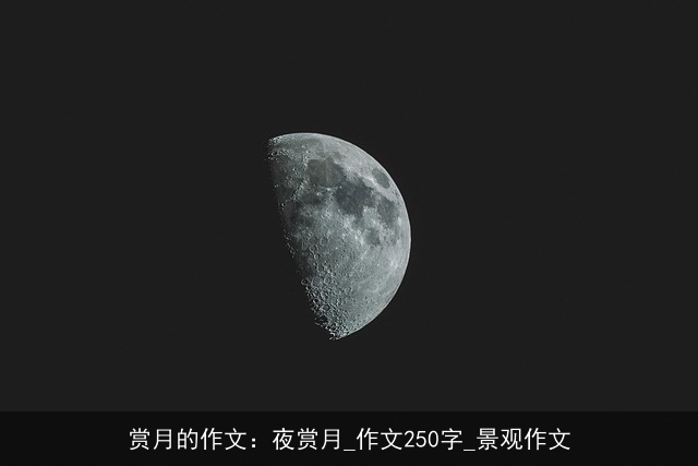 赏月的作文：夜赏月_作文250字_景观作文