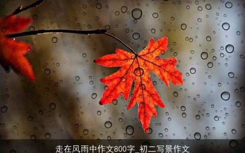 走在风雨中作文800字_初二写景作文