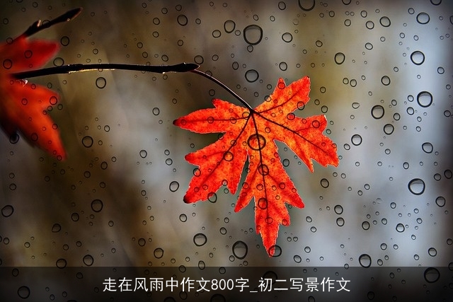 走在风雨中作文800字_初二写景作文