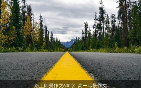 路上即景作文600字_高一写景作文