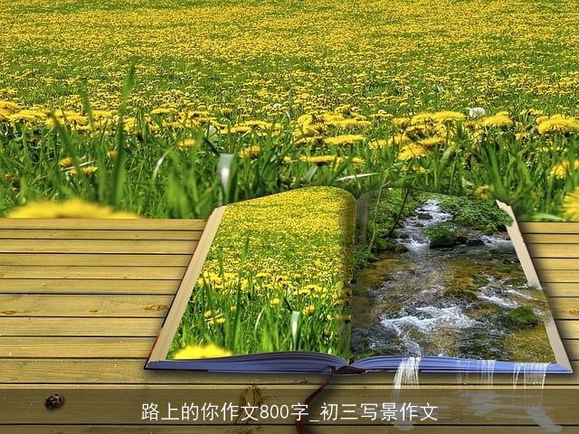 路上的你作文800字_初三写景作文