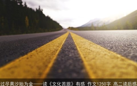 过尽黄沙始为金——读《文化苦旅》有感_作文1250字_高二读后感