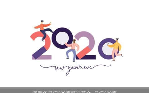 迎新年日记200字精选范文_日记200字