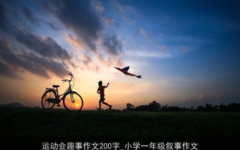 运动会趣事作文200字_小学一年级叙事作文