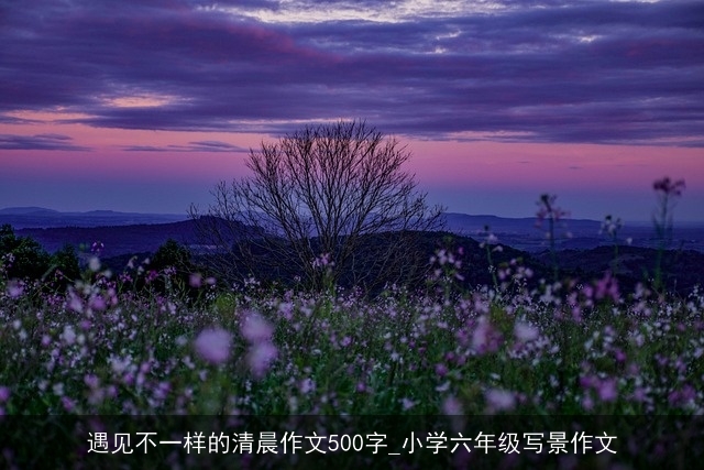 遇见不一样的清晨作文500字_小学六年级写景作文