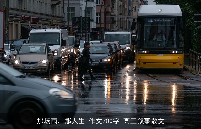 那场雨，那人生_作文700字_高三叙事散文