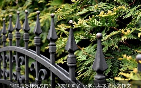 钢铁是怎样炼成的？_作文1000字_小学六年级议论文作文