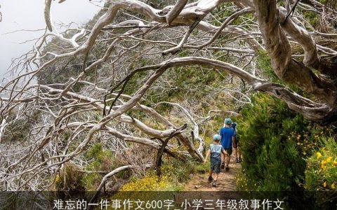 难忘的一件事作文600字_小学三年级叙事作文