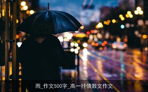 雨_作文500字_高一抒情散文作文