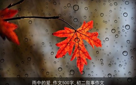 雨中的爱_作文500字_初二叙事作文