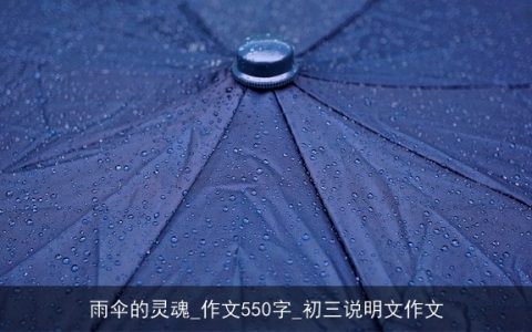 雨伞的灵魂_作文550字_初三说明文作文