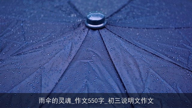 雨伞的灵魂_作文550字_初三说明文作文