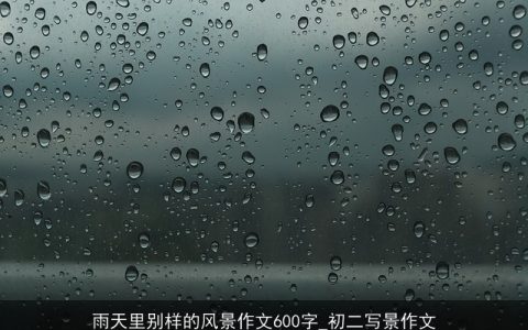 雨天里别样的风景作文600字_初二写景作文