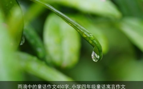 雨滴中的童话作文450字_小学四年级童话寓言作文