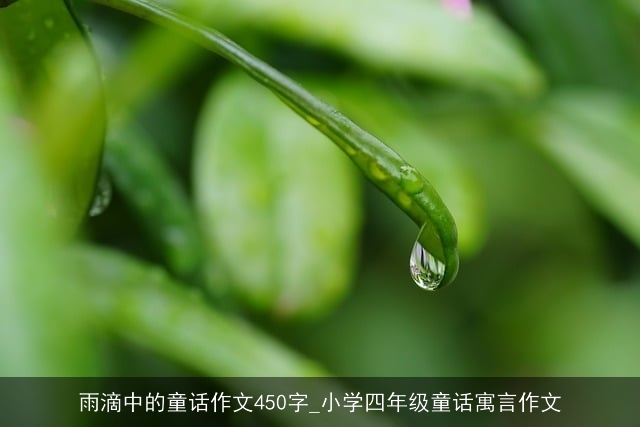 雨滴中的童话作文450字_小学四年级童话寓言作文