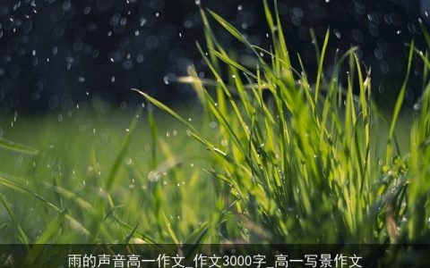 雨的声音高一作文_作文3000字_高一写景作文