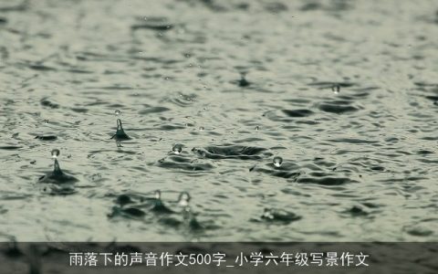 雨落下的声音作文500字_小学六年级写景作文