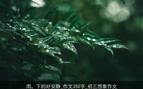 雨，下的好安静_作文350字_初三想象作文