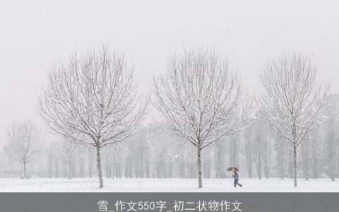 雪_作文550字_初二状物作文