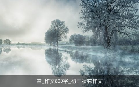 雪_作文800字_初三状物作文