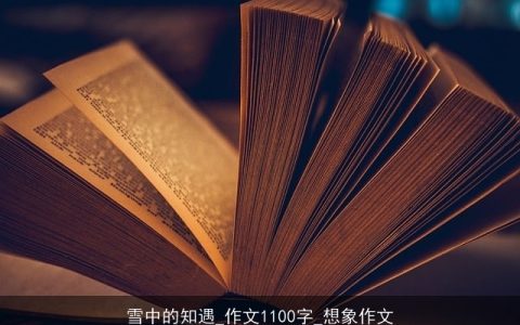 雪中的知遇_作文1100字_想象作文