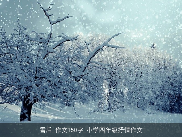 雪后_作文150字_小学四年级抒情作文