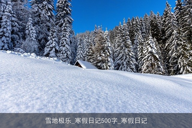 雪地极乐_寒假日记500字_寒假日记