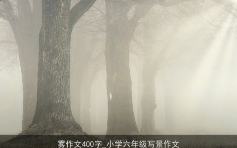 雾作文400字_小学六年级写景作文