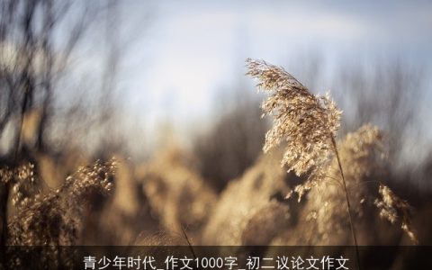 青少年时代_作文1000字_初二议论文作文