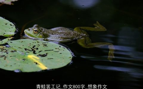 青蛙罢工记_作文800字_想象作文