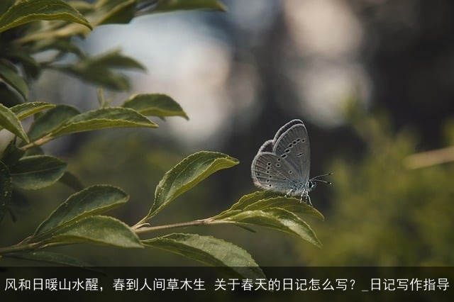 风和日暖山水醒，春到人间草木生 关于春天的日记怎么写？_日记写作指导