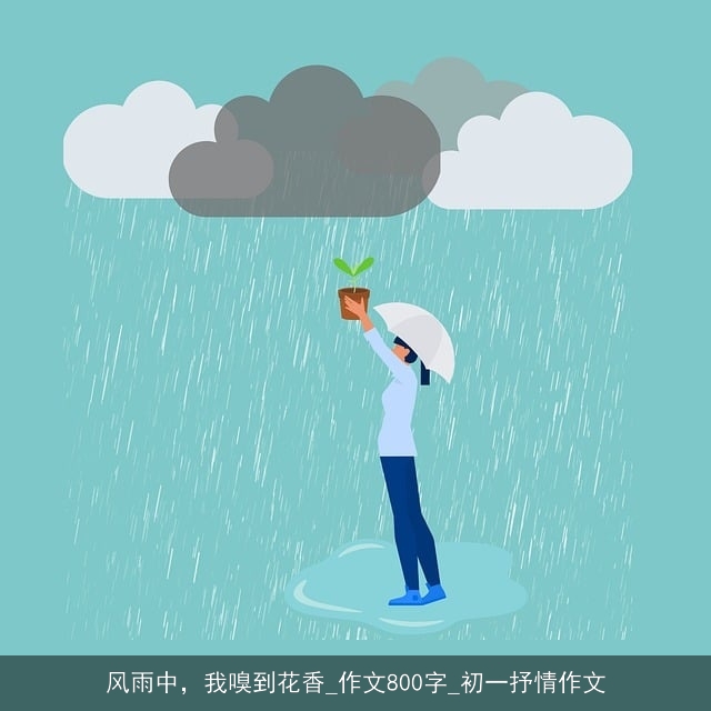 风雨中，我嗅到花香_作文800字_初一抒情作文