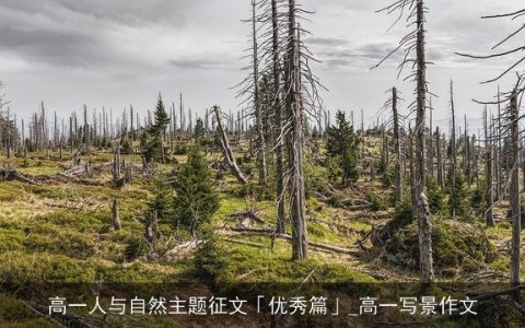 高一人与自然主题征文「优秀篇」_高一写景作文