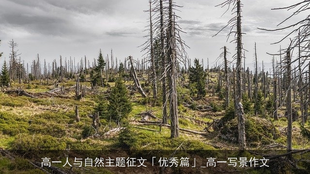 高一人与自然主题征文「优秀篇」_高一写景作文