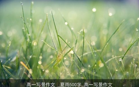 高一写景作文 _夏雨500字_高一写景作文