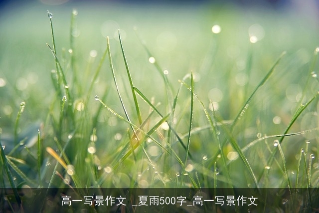 高一写景作文 _夏雨500字_高一写景作文