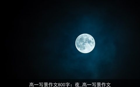 高一写景作文800字：夜_高一写景作文