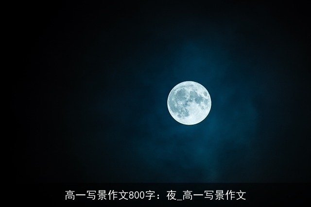 高一写景作文800字：夜_高一写景作文