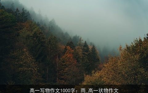 高一写物作文1000字：雨_高一状物作文