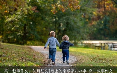 高一叙事作文：[8月征文]墙上的南瓜藤2024字_高一叙事作文