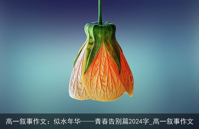 高一叙事作文：似水年华——青春告别篇2024字_高一叙事作文