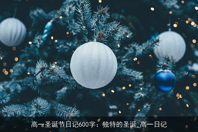 高一圣诞节日记600字：独特的圣诞_高一日记