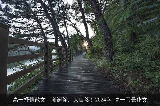 高一抒情散文 _谢谢你，大自然！2024字_高一写景作文