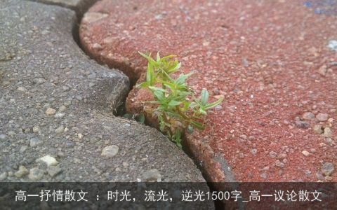 高一抒情散文 ：时光，流光，逆光1500字_高一议论散文