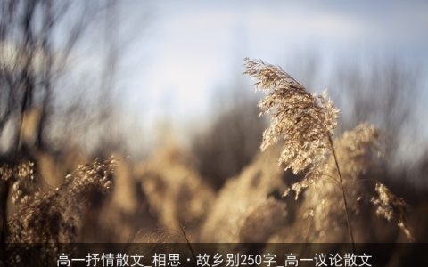 高一抒情散文_相思·故乡别250字_高一议论散文